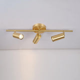 Modern Brass Double Cylinder Adjustable Wall Spotlight Lasson Living