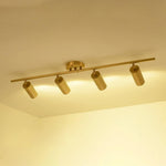 Modern Brass Double Cylinder Adjustable Wall Spotlight Lasson Living