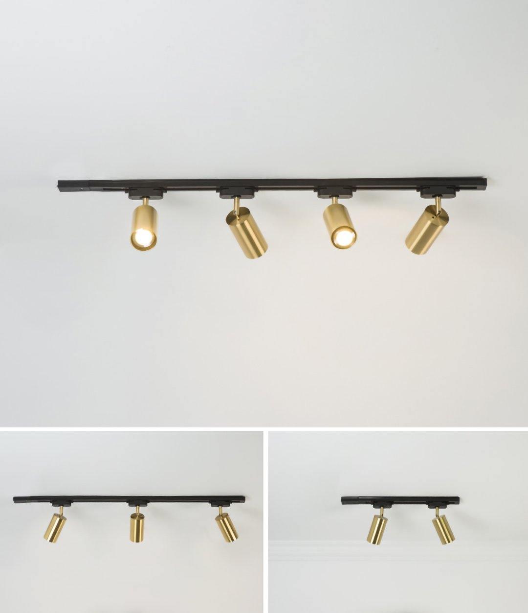 Modern Brass Double Cylinder Adjustable Wall Spotlight Lasson Living