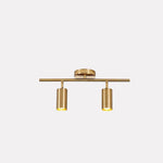 Modern Brass Double Cylinder Adjustable Wall Spotlight Lasson Living