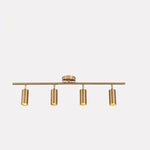 Modern Brass Double Cylinder Adjustable Wall Spotlight Lasson Living