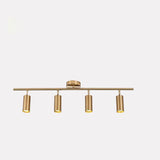 Modern Brass Double Cylinder Adjustable Wall Spotlight Lasson Living