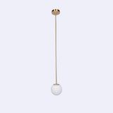 Minimalist Brass Globe Glass Pendant 1-Light Lasson Living
