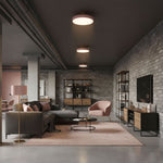 Modern Round LED Flush Mount Ceiling Light 1-Light Lasson Living