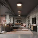 Modern Round LED Flush Mount Ceiling Light 1-Light Lasson Living