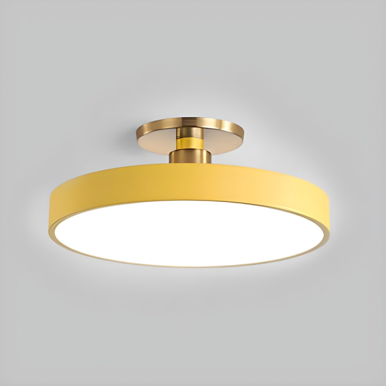Modern Round LED Flush Mount Ceiling Light 1-Light Lasson Living