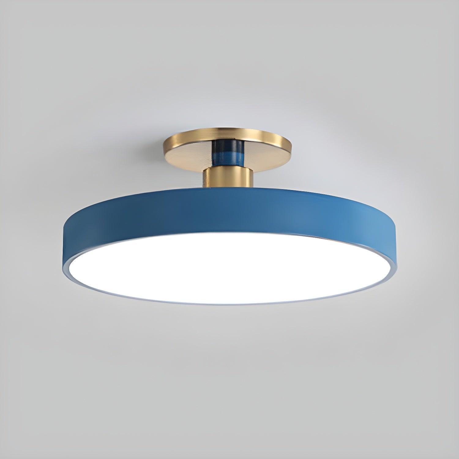 Modern Round LED Flush Mount Ceiling Light 1-Light Lasson Living