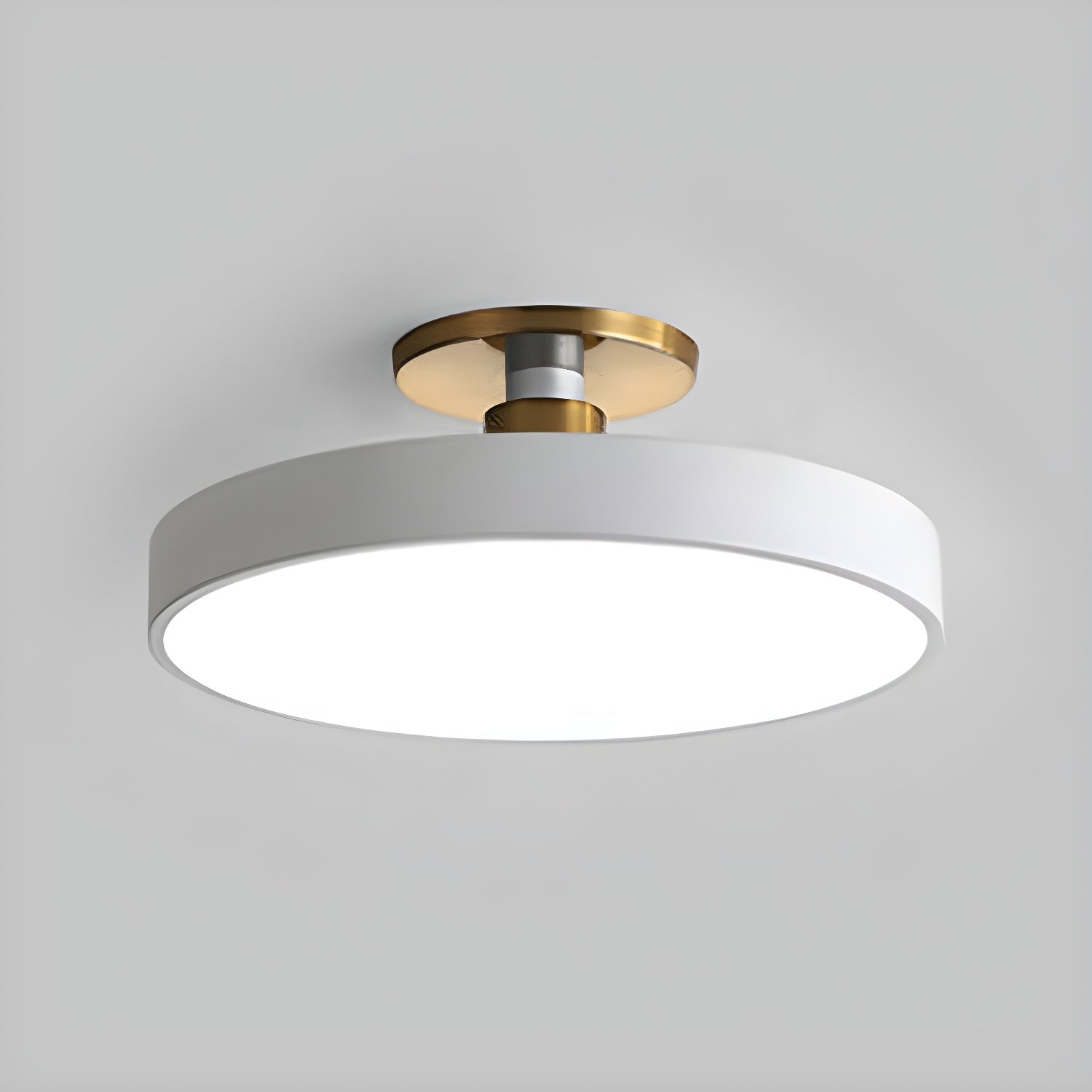 Modern Round LED Flush Mount Ceiling Light 1-Light Lasson Living