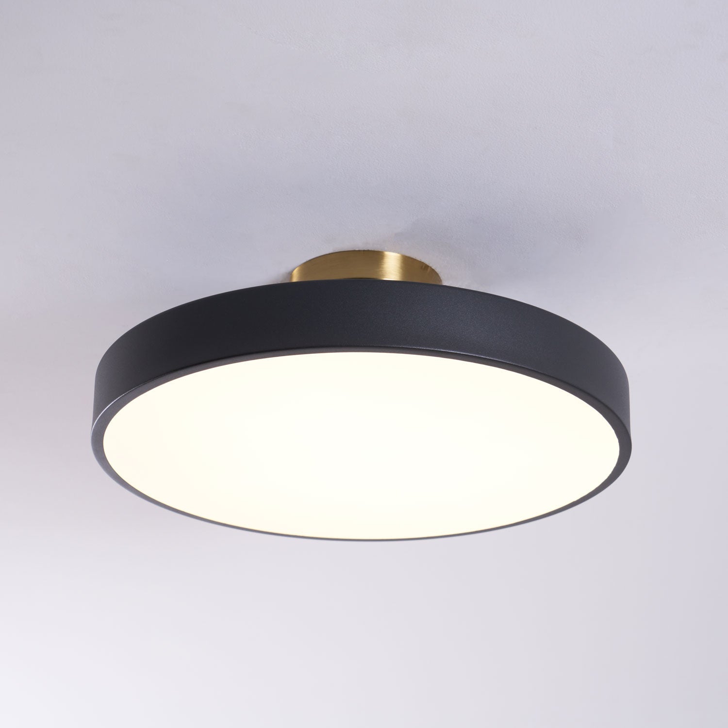 Modern Round LED Flush Mount Ceiling Light 1-Light Lasson Living