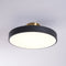 Modern Round LED Flush Mount Ceiling Light 1-Light Lasson Living