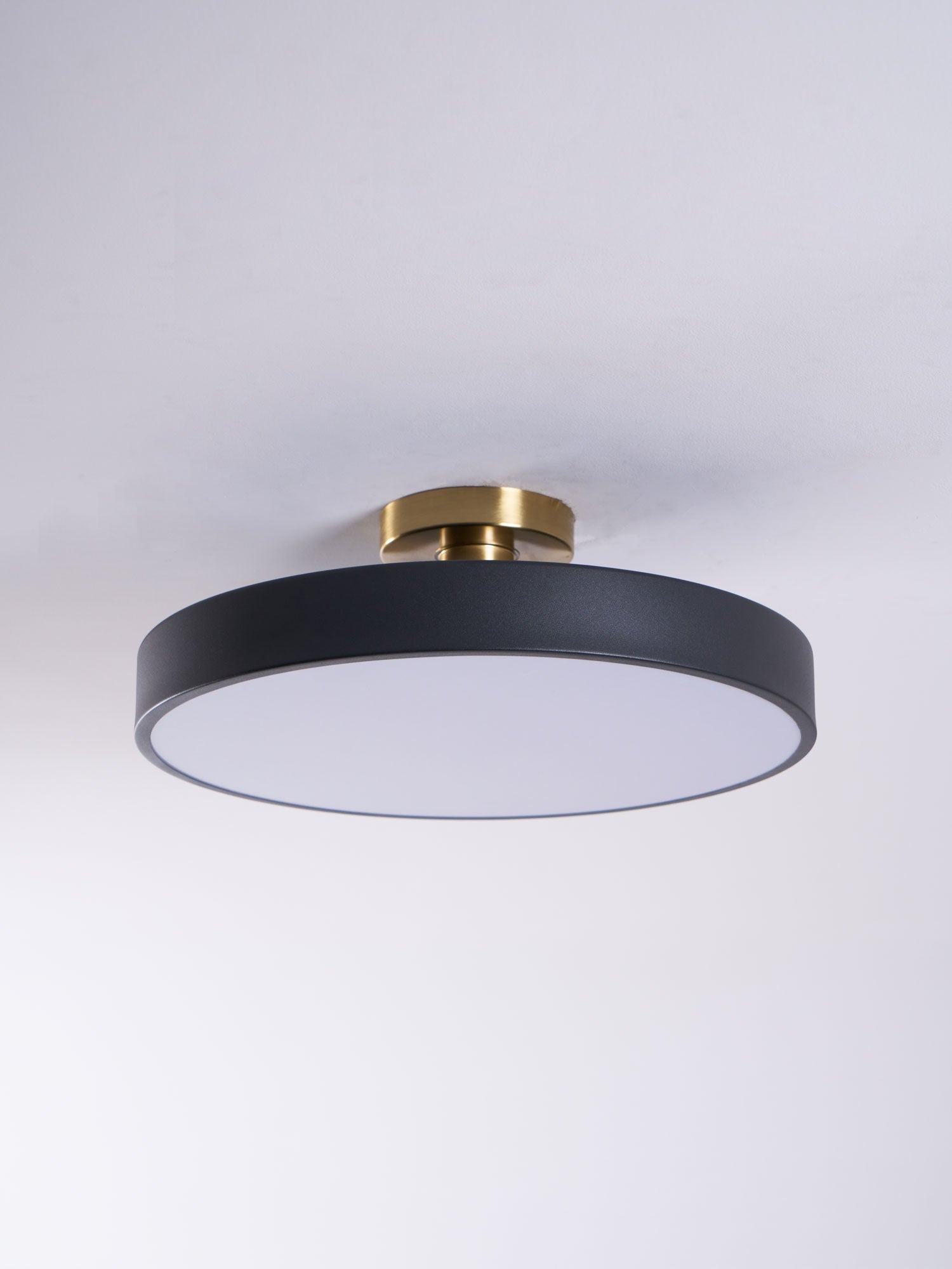 Modern Round LED Flush Mount Ceiling Light 1-Light Lasson Living