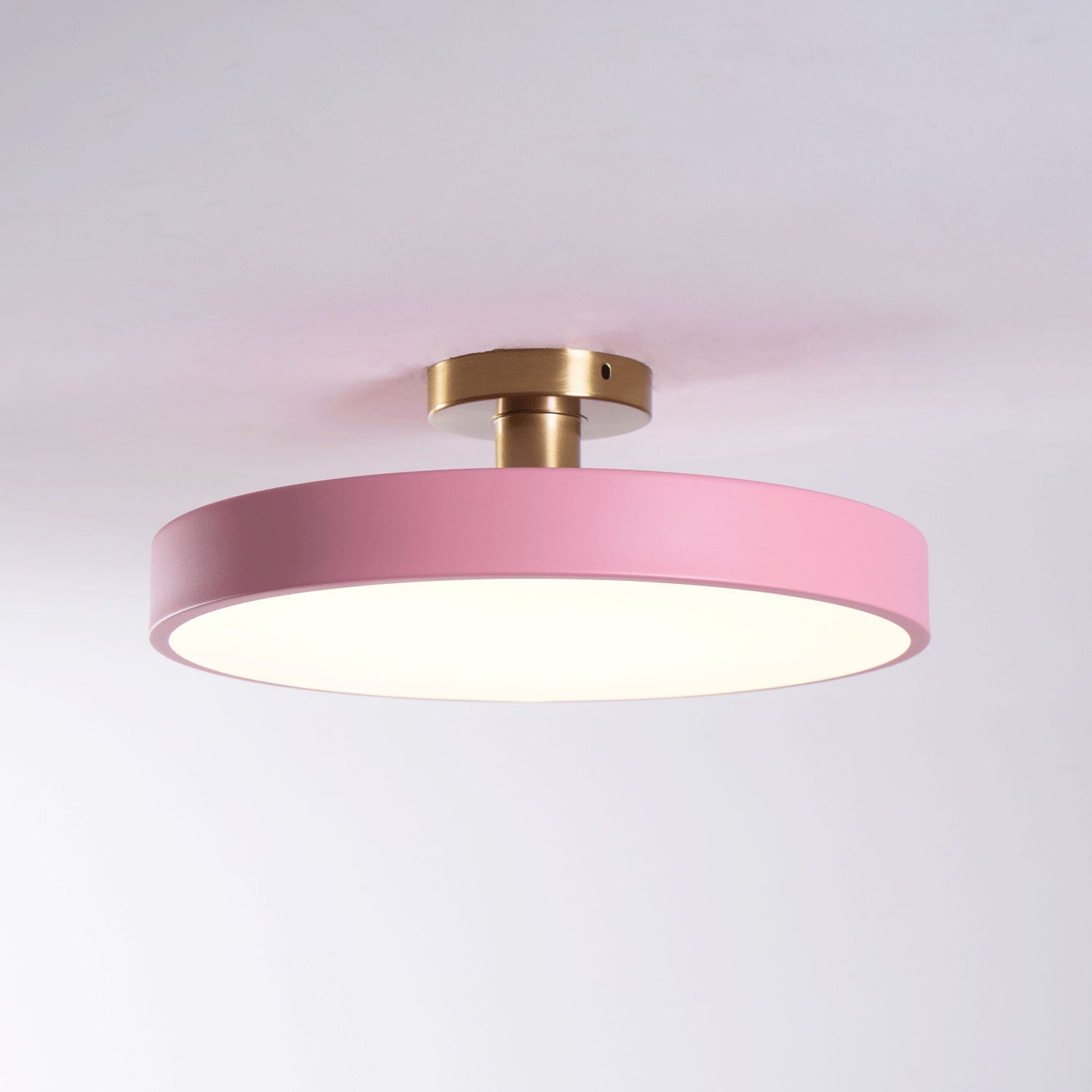 Modern Round LED Flush Mount Ceiling Light 1-Light Lasson Living