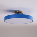 Modern Round LED Flush Mount Ceiling Light 1-Light Lasson Living