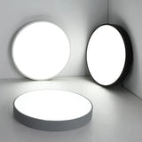 Modern Minimalist Round LED Ceiling Light 1-Light Lasson Living