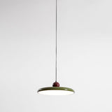 Modern Disc LED Plug-in Pendant Light 1-Light Lasson Living