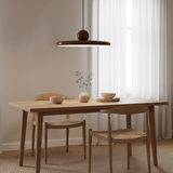 Modern Disc LED Plug-in Pendant Light 1-Light Lasson Living