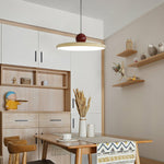 Modern Disc LED Plug-in Pendant Light 1-Light Lasson Living