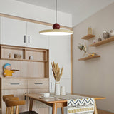 Modern Disc LED Plug-in Pendant Light 1-Light Lasson Living