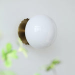 Vintage Brass Globe Glass Wall Sconce 1-Light Lasson Living