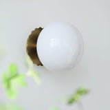 Vintage Brass Globe Glass Wall Sconce 1-Light Lasson Living