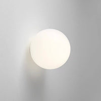 Modern Frosted Glass Globe LED Wall Sconce 1-Light Lasson Living