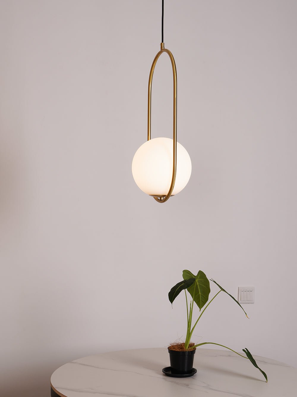 Modern Brass Ring Globe Glass Pendant Light 1-Light Lasson Living