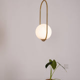 Modern Brass Ring Globe Glass Pendant Light 1-Light Lasson Living