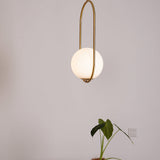 Modern Brass Ring Globe Glass Pendant Light 1-Light Lasson Living