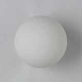 Modern Minimalist Glass Globe Wall Sconce Lamp 1-Light Lasson Living