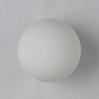 Modern Minimalist Glass Globe Wall Sconce Lamp 1-Light Lasson Living