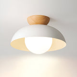 Modern Minimalist Glass Dome LED Ceiling Light 1-Light Lasson Living