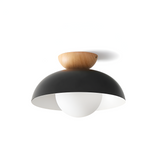 Modern Minimalist Glass Dome LED Ceiling Light 1-Light Lasson Living