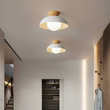 Modern Minimalist Glass Dome LED Ceiling Light 1-Light Lasson Living