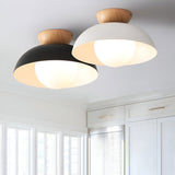 Modern Minimalist Glass Dome LED Ceiling Light 1-Light Lasson Living