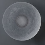 Modern Minimalist Resin Round Wall Sconce LED 1-Light Lasson Living