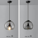 Minimalist Smoked Glass Dome Pendant Light 1-light Lasson Living