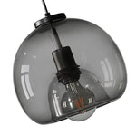 Minimalist Smoked Glass Dome Pendant Light 1-light Lasson Living