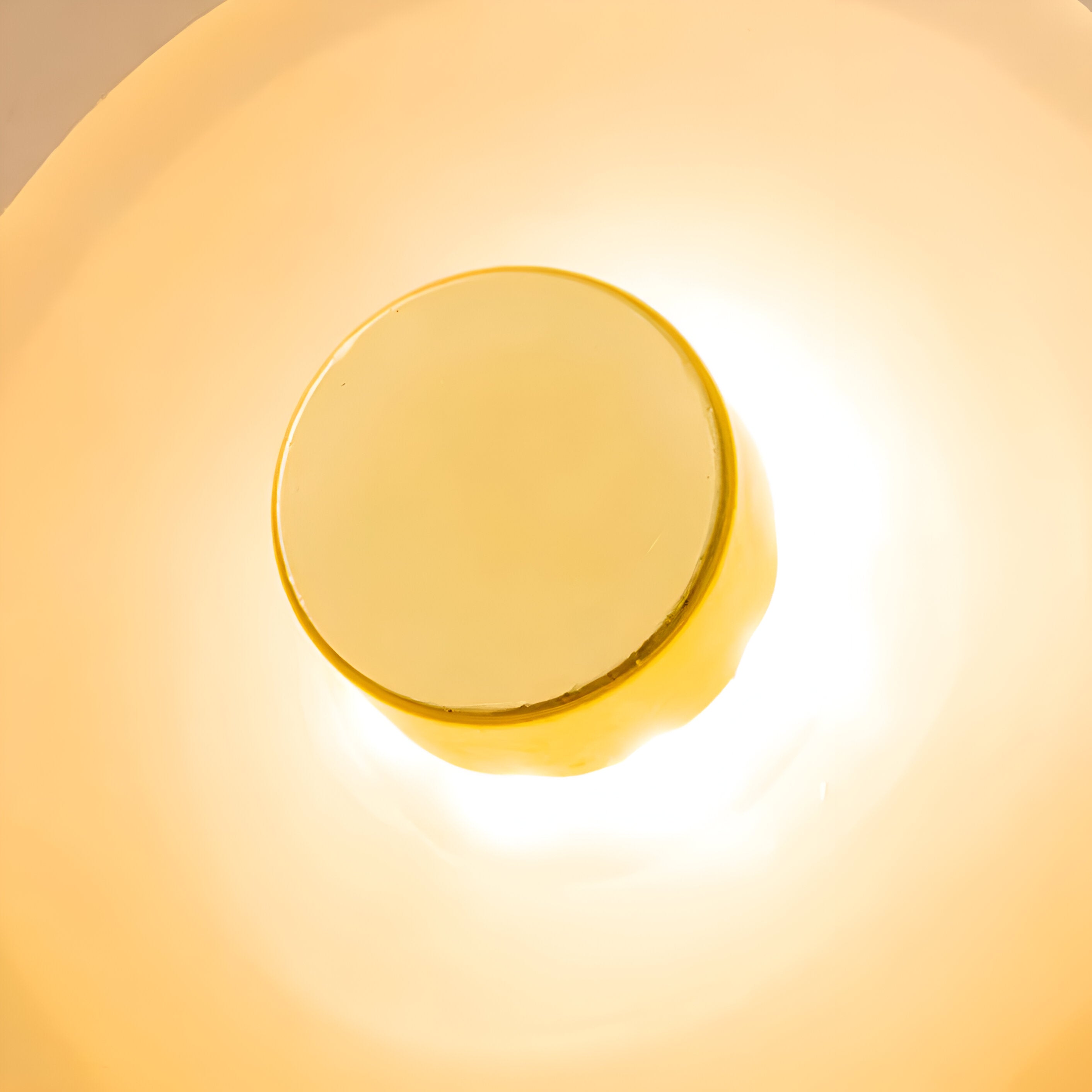 Nordic Curved Glass Japandi LED Wall Sconce 1-Light Lasson Living