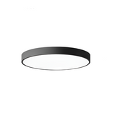 Modern Minimalist Round LED Ceiling Light 1-Light Lasson Living