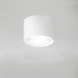 Nordic Cylinder LED Flush Mount Ceiling Light Lasson Living