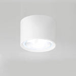 Nordic Cylinder LED Flush Mount Ceiling Light Lasson Living