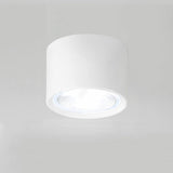 Nordic Cylinder LED Flush Mount Ceiling Light Lasson Living