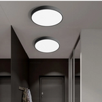 Modern Minimalist Round LED Ceiling Light 1-Light Lasson Living