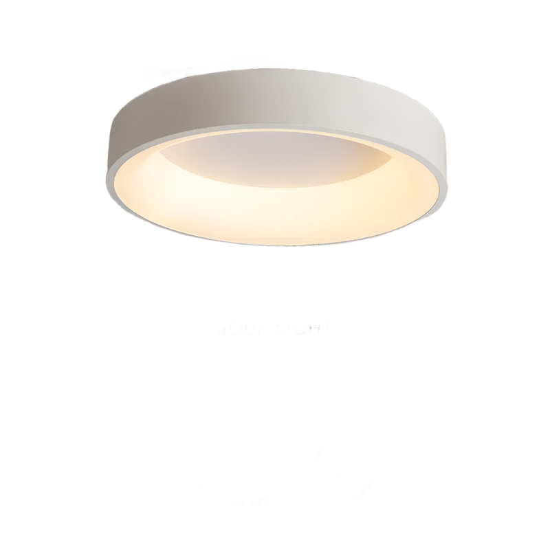 Nordic Modern Round Led Ceiling Light 1-Light Lasson Living