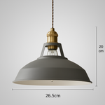 Industrial Colourful Metal Dome Pendant Light LED 1-light Lasson Living