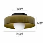 Nordic Glass Olive Disc Wall & Ceiling Light LED 1-light Lasson Living