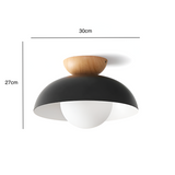 Modern Minimalist Glass Dome LED Ceiling Light 1-Light Lasson Living