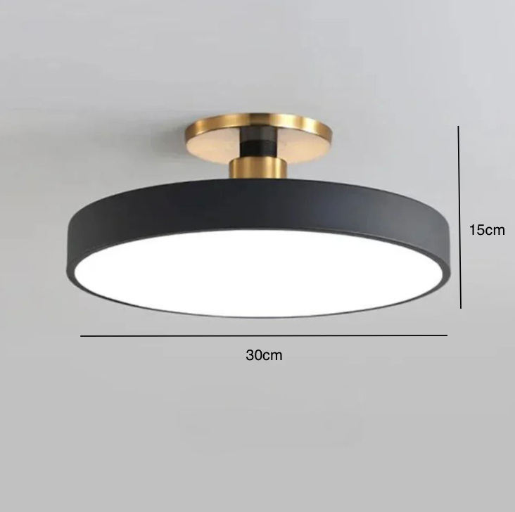 Modern Brass Round LED Ceiling Light 1-Light Lasson Living