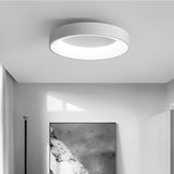 Nordic Modern Round Led Ceiling Light 1-Light Lasson Living