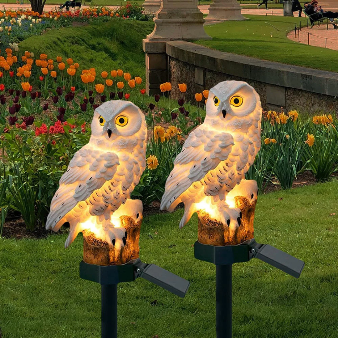 Solar Garden Light – Charming Owl Solar Lantern with Warm White LED for Outdoor Lighting Lasson Living